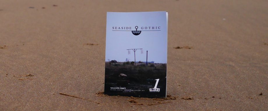 Buy Issue 1 of Seaside Gothic