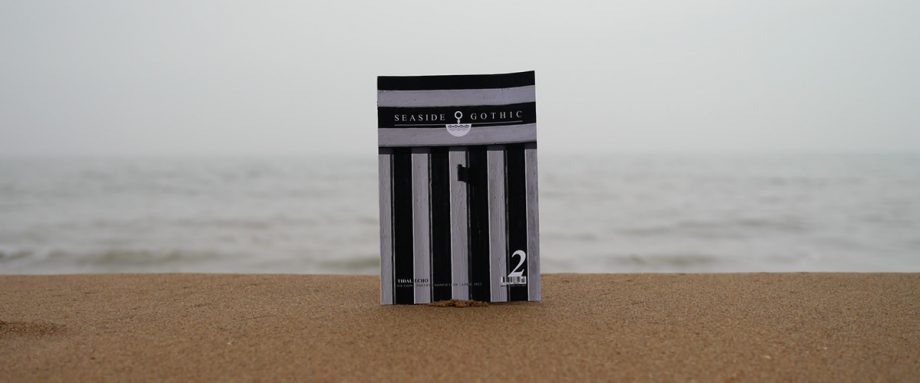 Buy Issue 2 of Seaside Gothic