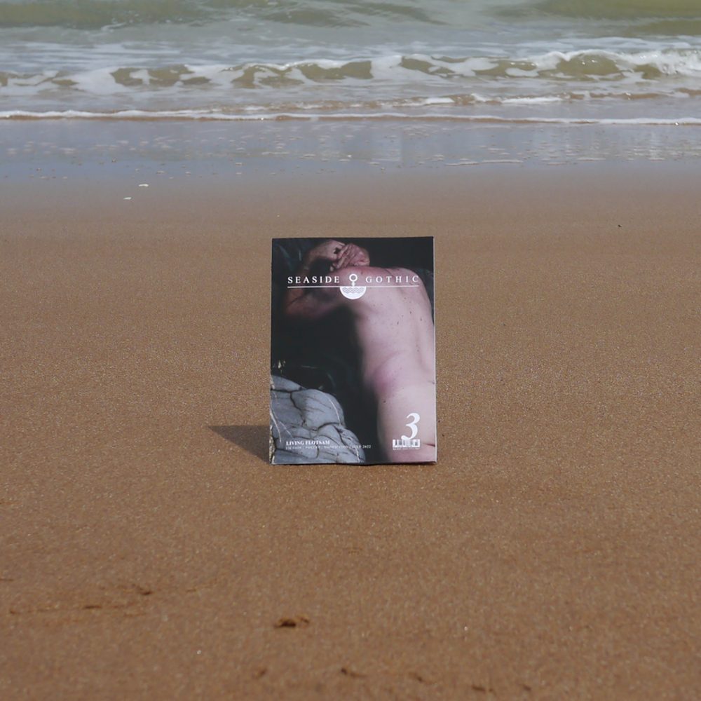 Issue 3