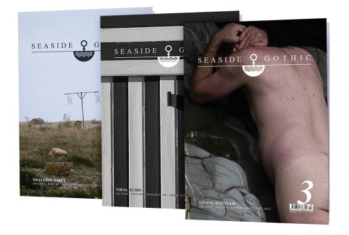 Seaside Gothic Issues 1, 2, 3