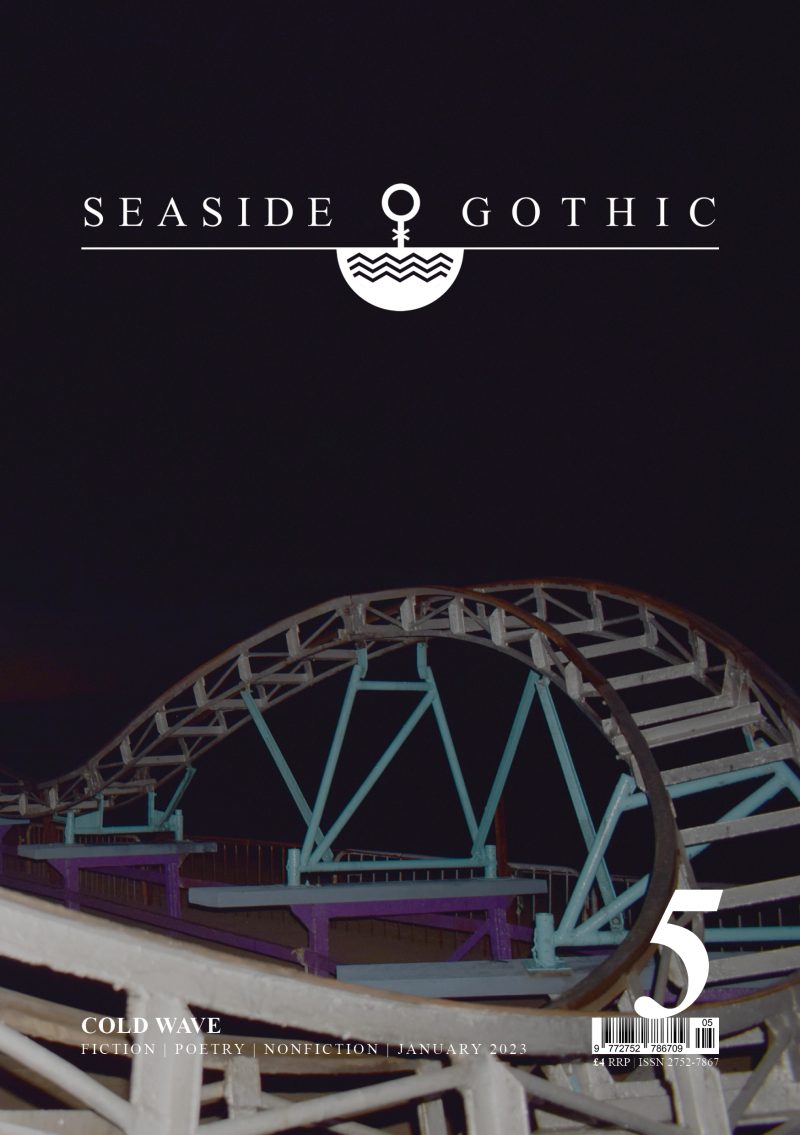 Seaside Gothic Issue 5: Cold Wave