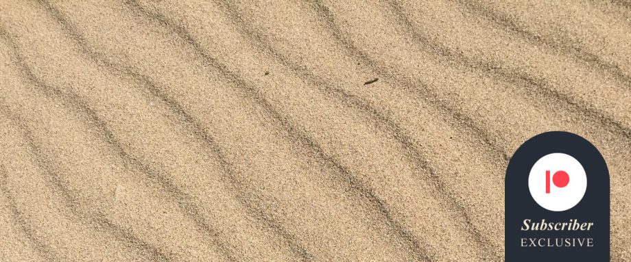 Issue 5 Cover Reveal