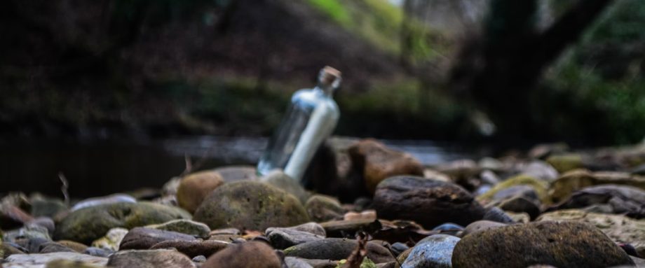 Open Submission Windows 2023