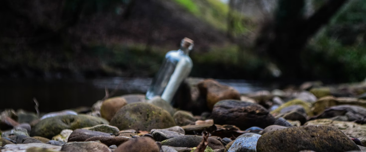 Open Submission Windows