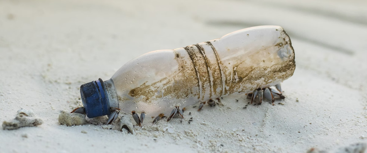 Submissions are Open