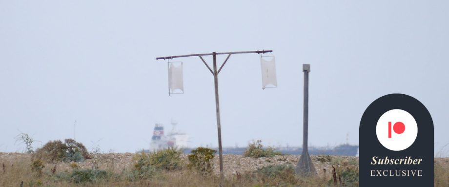 Issue 1 Images by Amy Elizabeth