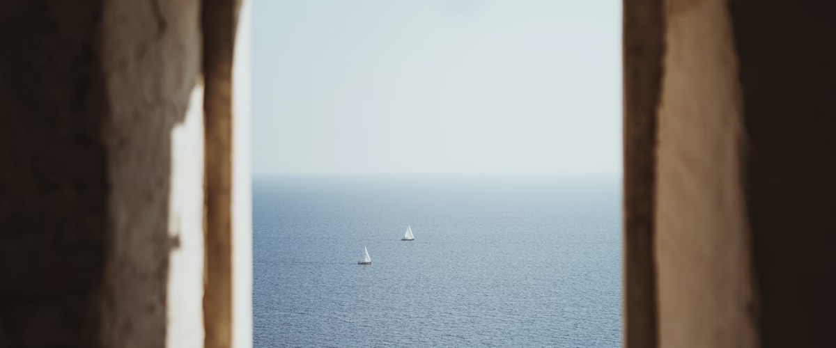 Next Submission Window