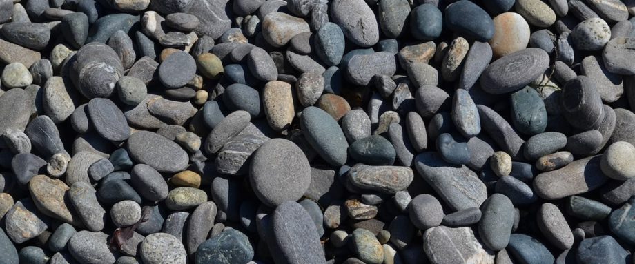 Submission Statistics for Subscribers