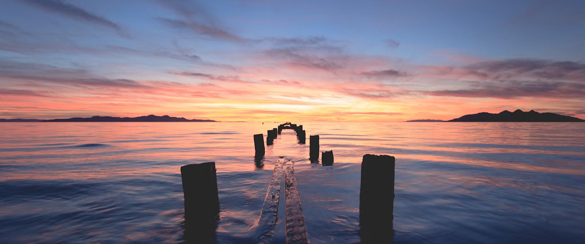 Subscription Packages