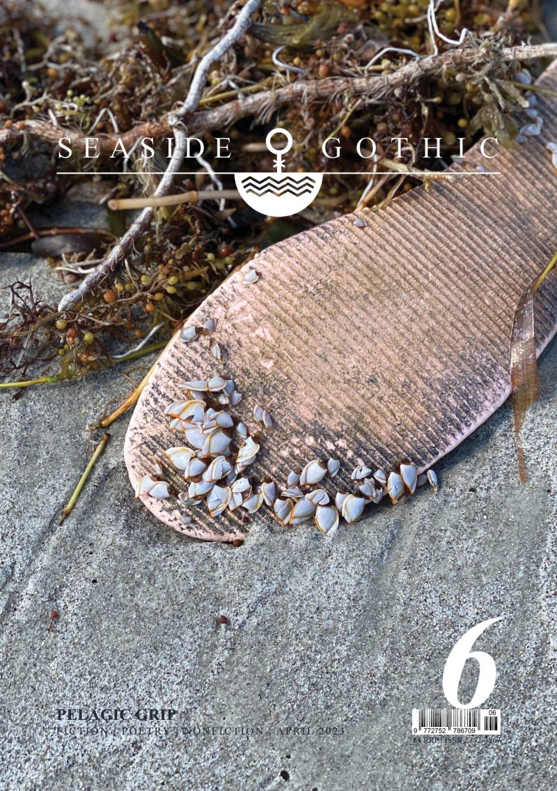 Seaside Gothic Issue 6: Pelagic Grip
