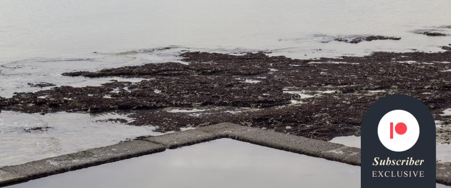 And Then I Looked Upon These Sands by Maggie Harris