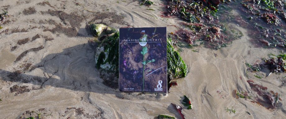 Buy Seaside Gothic Issue 8: Wrack Wake