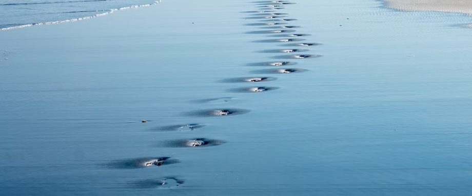 The Yearning by Cathryn Moore