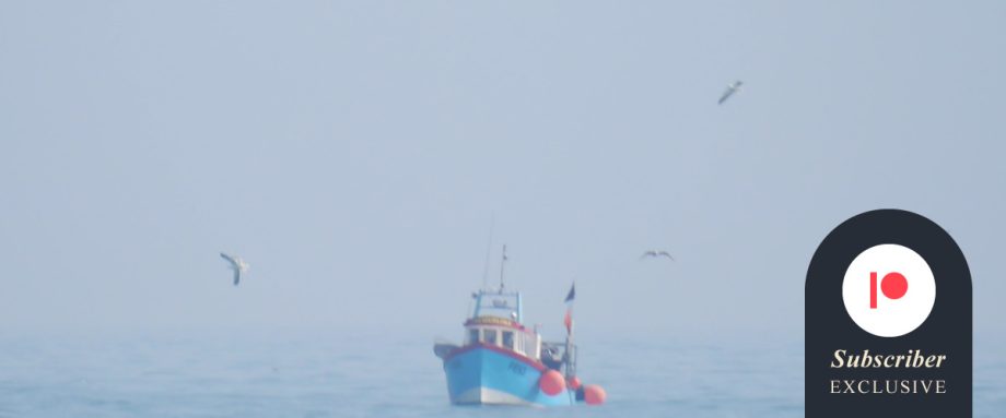 Issue 10 Images by Amy Elizabeth