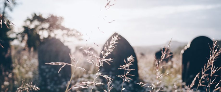 I Spy the Bones You Hide by Joanne Hayden