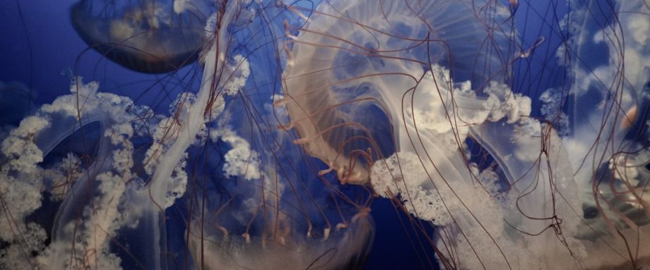 Off Season by Saskia McCracken