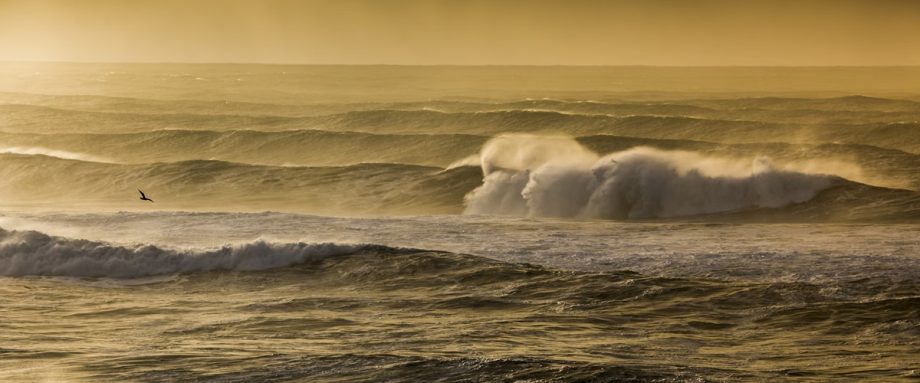 Upon the Gloaming Hour by Jendia Gammon