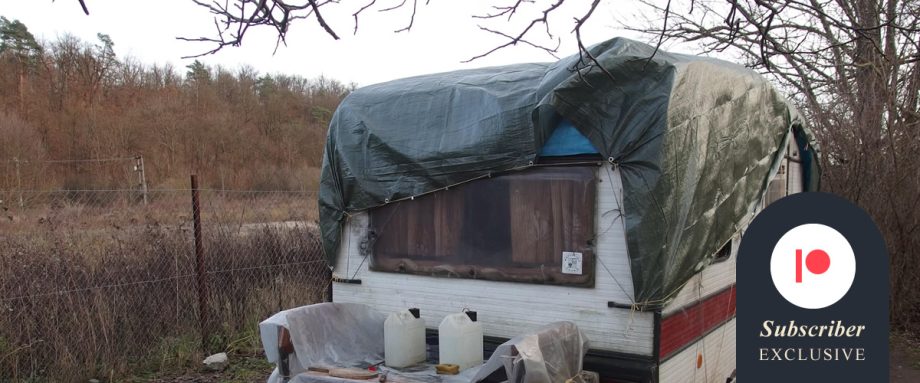 Avicide by Rosa Stevenson