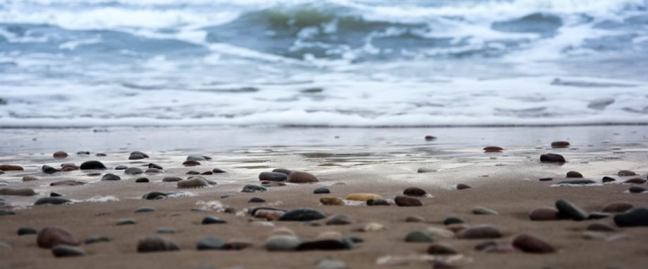 Walking to the Edge by Rachel C. Birchley