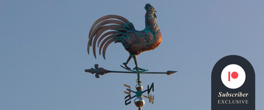 Weathervanes by Rebecca Klassen