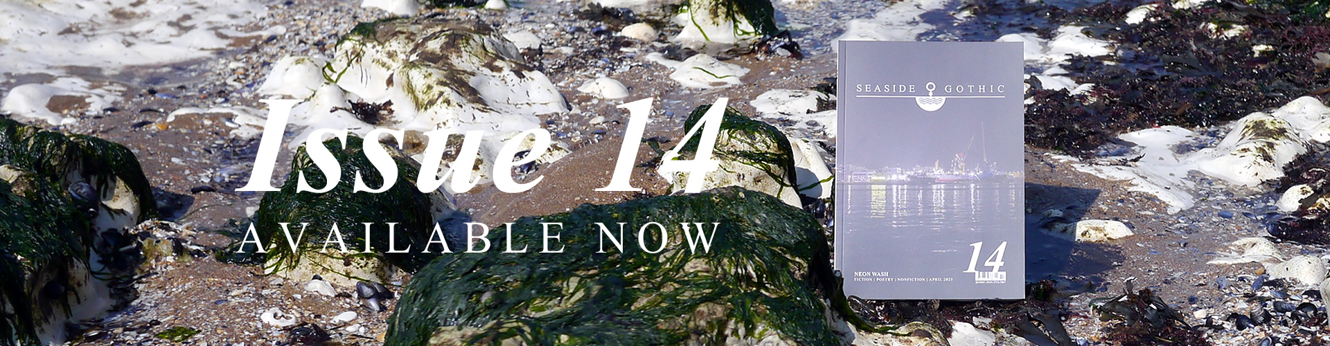 Issue 14 available now