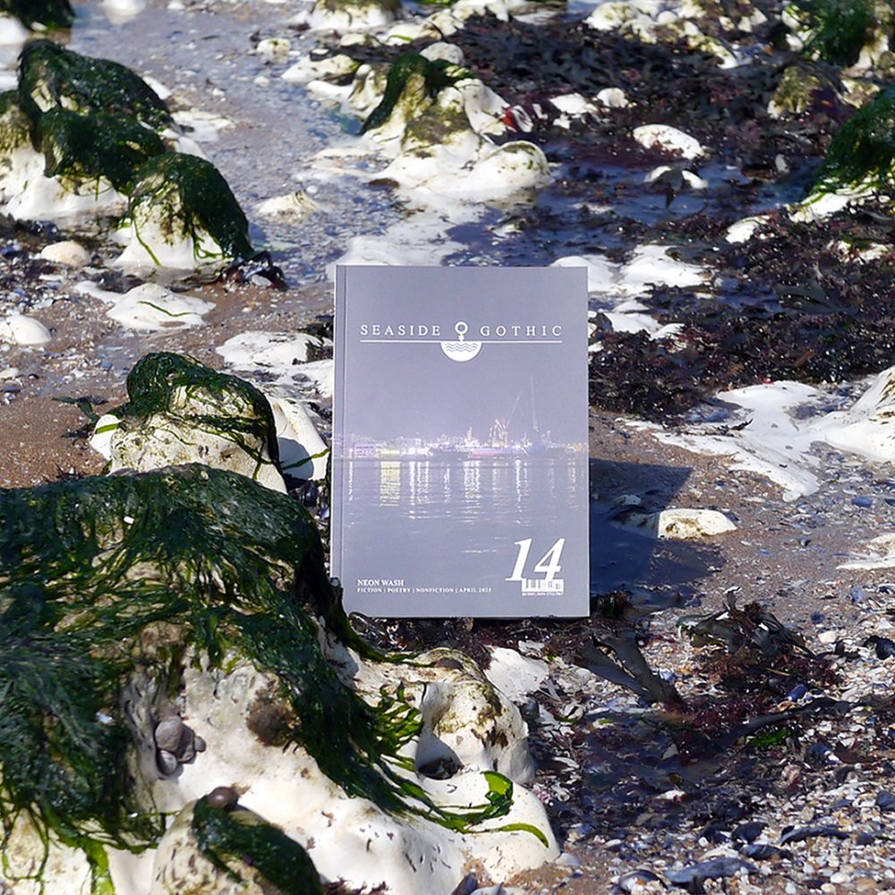 Issue 14