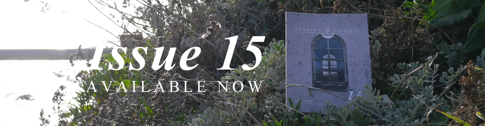 Issue 15 Available Now